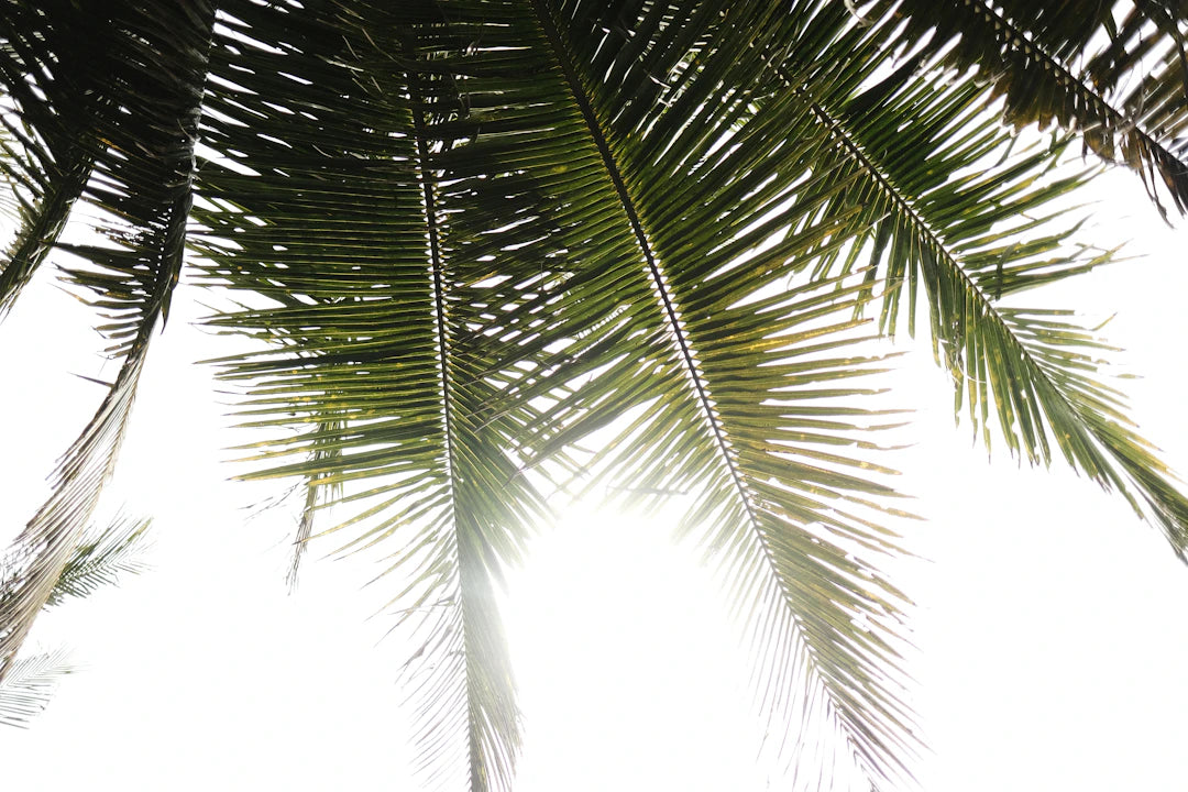 Shield Your Skin How Sun Exposure Speeds Up Aging
